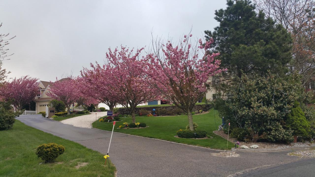 Inn 38 Oak Bluff Circle 플리머스 외부 사진